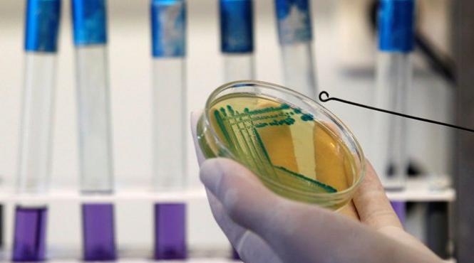 bilantul epidemiei de e coli a ajuns la 35 de morti