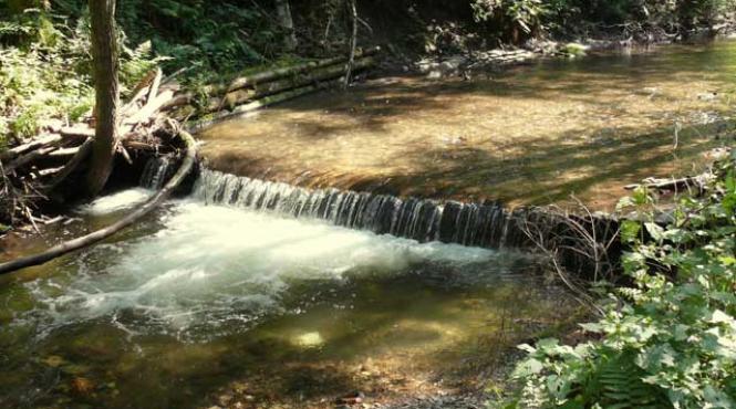 proiect turistic generos la gura humorului refuzat de portocalii