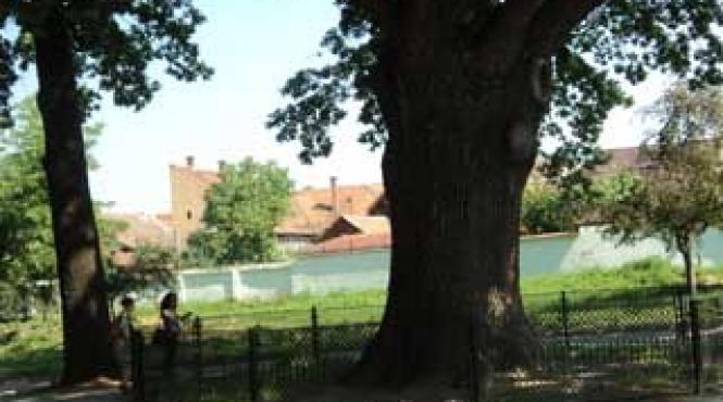 blajul de azi confirma mica roma