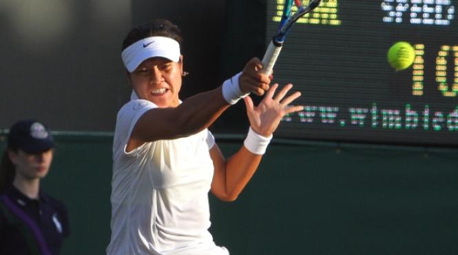 un fan al lui na li vrea sa scoata bani din domeniului lina cn