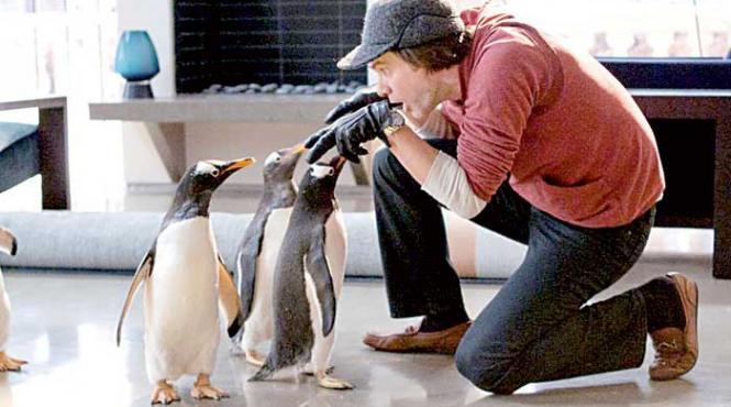 pinguinii lui jim carrey