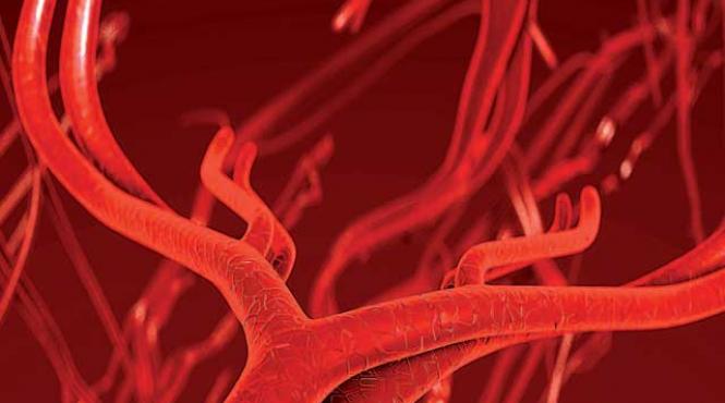 vene obtinute in laborator