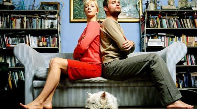 si catelul cui ramane ultima moda in divorturi disputa custodiei animalului de companie