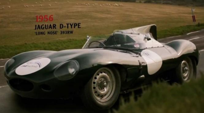 o felina pretentioasa