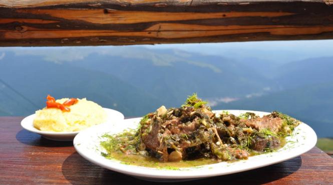 q 7 si elodia doua marci culinare de succes la cota 2000