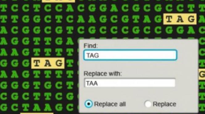 secretul vietii descifrat codul adn poate fi rescris