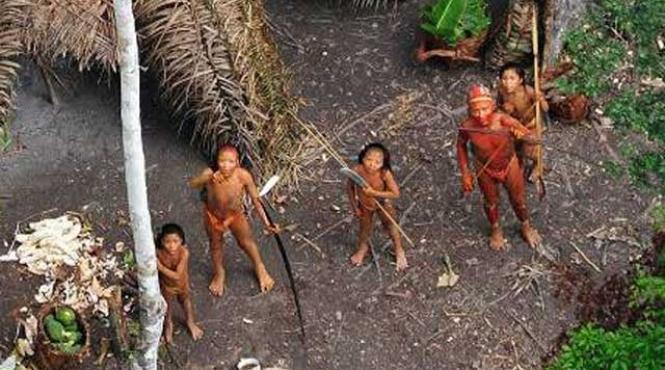 tribul recent descoperit in jungla amazoniana probabil exterminat de traficantii de droguri