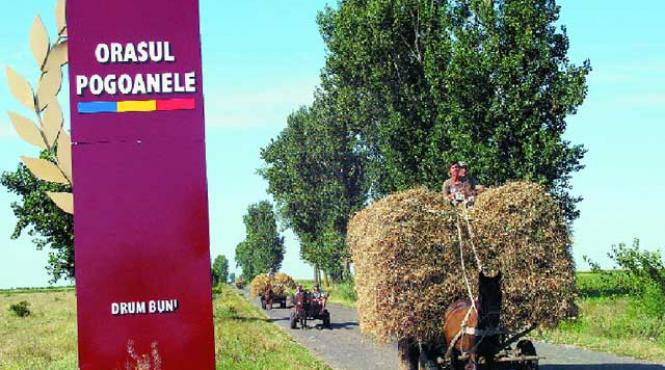 pogoanele orasul agrar unde se echipeaza masini de lux