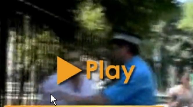 jurnalisti agresati de romi la timisoara video