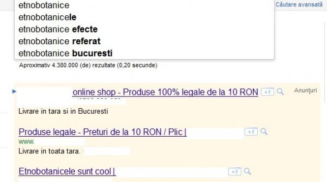 iesenii clujenii si bucurestenii campioni la cautat etnobotanice pe internet