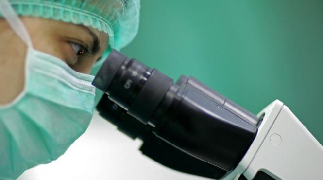 un roman s a intors din grecia bolnav de malarie