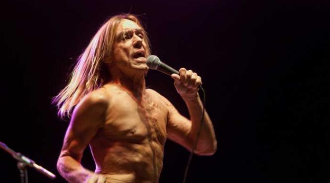 record de vizitatori la festivalul peninsula