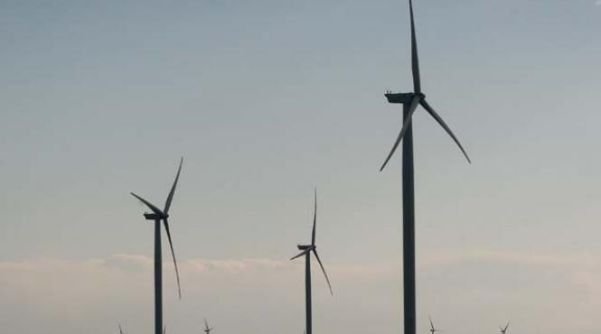 transelectrica sugrumata de baietii destepti din energia verde