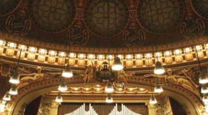 concert spectacol multimedia