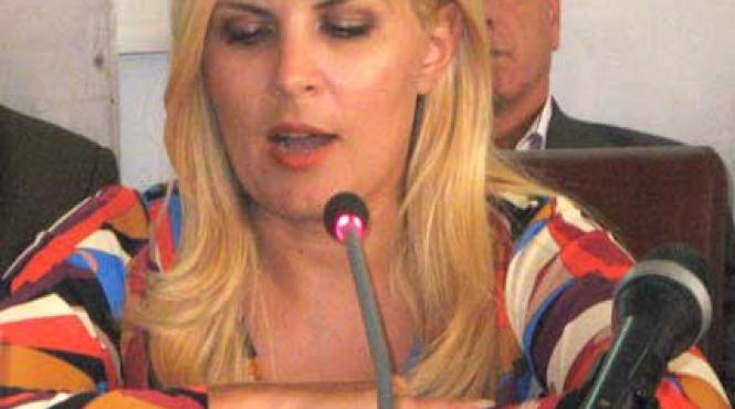 udrea il vede iertat pe mircia gutau