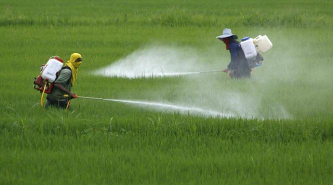 arma mortala biologica milioane de animale create sa si distruga speciile cum va disparea crapul european din australia