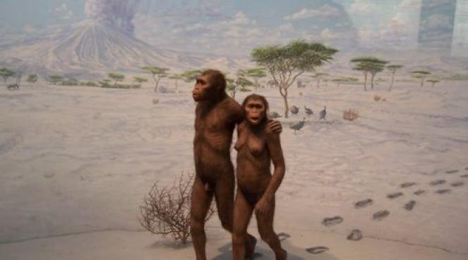 de ce cred oamenii de stiinta ca si au pierdut oamenii blana in ce conditii ne ar putea creste la loc in viitor