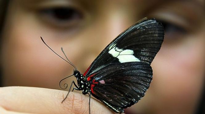 15 septembrie 2011 imaginile zilei