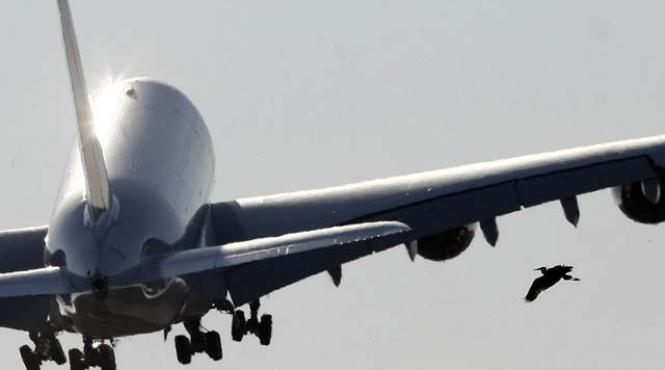 air france klm cumpara avioane de 12 miliarde de dolari