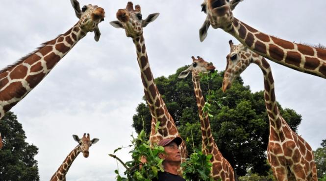 20 septembrie 2011 imaginile zilei