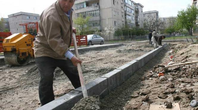 bani fara numar pentru borduri
