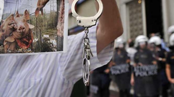 criza economica si nodul gordian al noii ordini mondiale ii