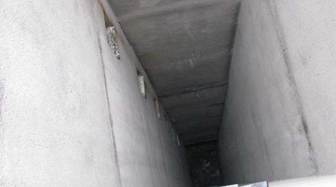 omul care anunta moartea vocea mi a zis ca alex a murit am inchis repede