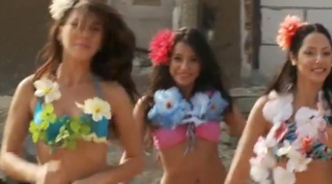 cum suna imnul picatilor la bacalaureat video