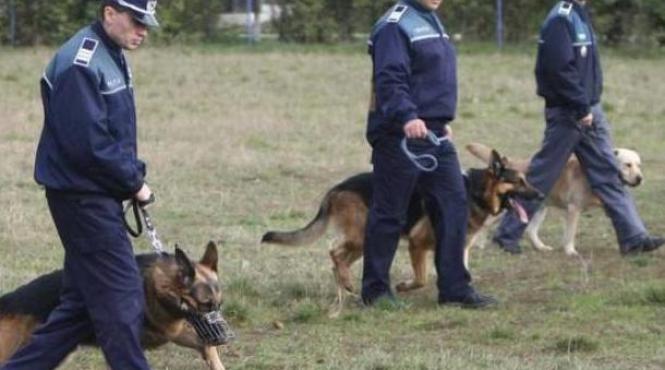 marea evadare 24 de transfugi au fugit pe ferestrele centrului din arad demontand gratiile