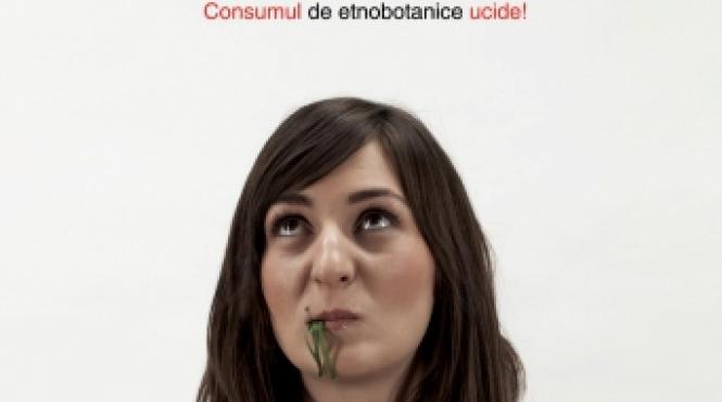 tinerii nu fumeaza iarba fumeaza granule sintetice campania anti etnobotanice a mai are greseli tehnice spun ong urile