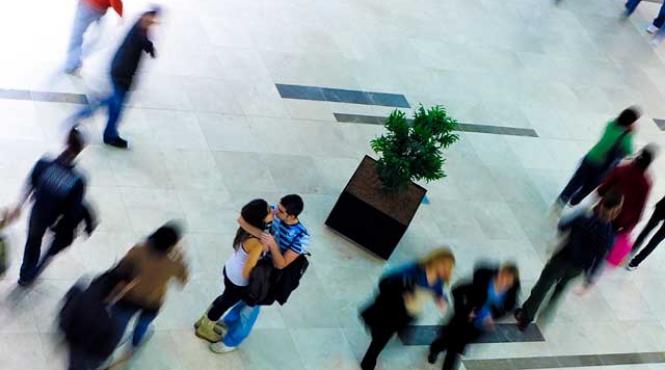 demitere la ins pe motiv de cnp