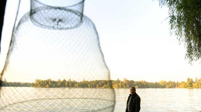 herastrau i frate cu chinezul nu i mai bagati in seama ca vine aici toata china si ne ia tot pestele