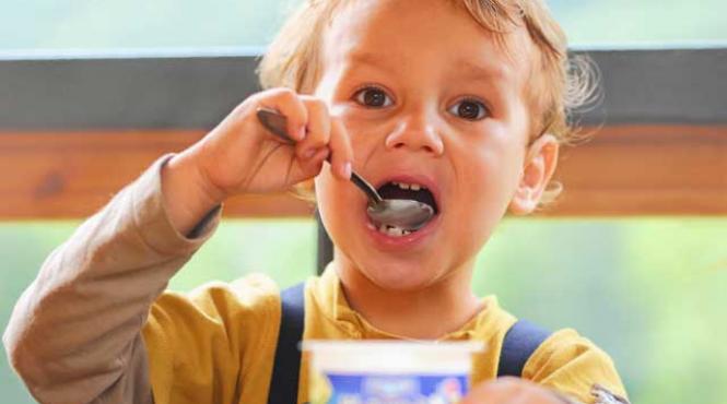 lupta contra gripei sezoniere vezi care sunt avantajele terapiei cu probiotice