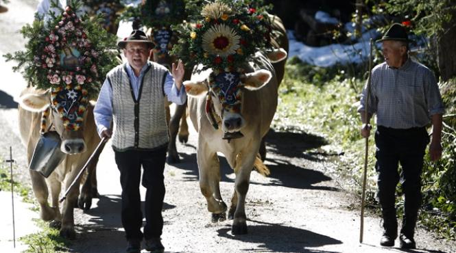 in plina criza in austria se maresc pensiile