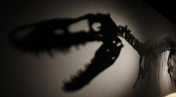 pradatorii de top din mezozoic traiesc si in ziua de azi vezi cine ii manca pe dinozauri