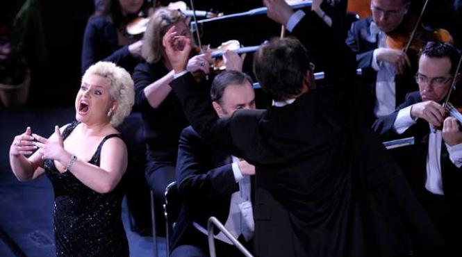 premiile vip pentru artele spectacolului