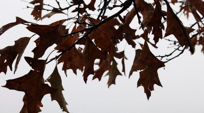 vreme rece cu nori ceata persistenta si burnita vezi prognoza pe trei zile