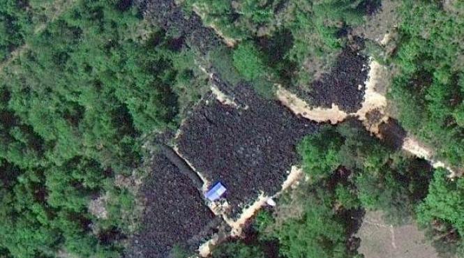 ghici ciuperca ce i descoperire impresionanta prin google maps intr o padure izolata din sua video