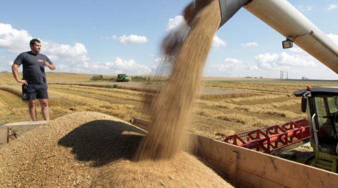 raport onu fermele trebuie sa produca cu 70 mai multa hrana pana in 2050 pentru a sustine populatia lumii