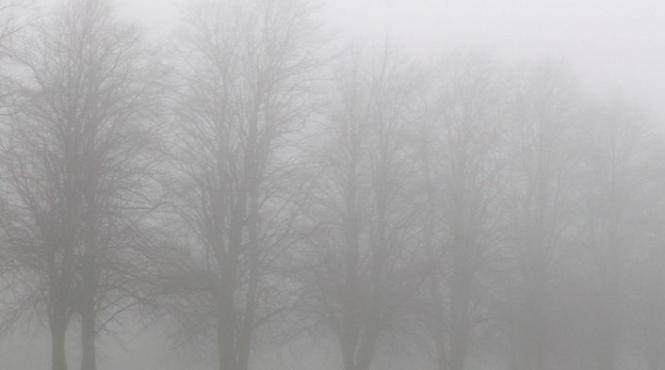 avertizare anm conditii de ceata in judetele cluj sibiu alba