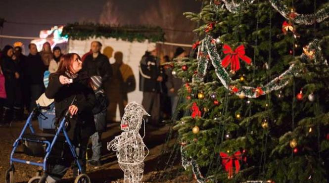 11 000 de beculete in bradul de craciun de la crangasi