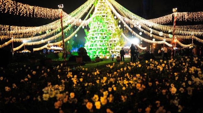 5 4 3 2 1 si s a facut lumina s au aprins luminile de craciun in bucuresti