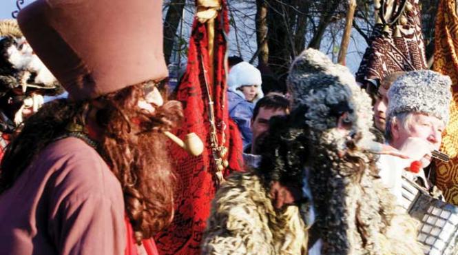 vin mascatii la muzeu