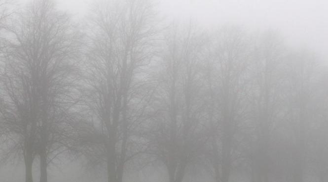 anm avertizare de ceata pentru 13 judete si bucuresti