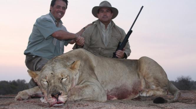 interviu cu aitor esquichabel omul care vaneaza elefanti cu arcul si vorbeste cu cainele pe internet