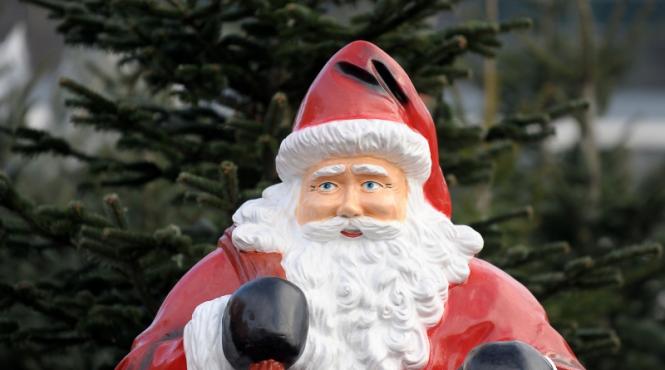 doar putin peste jumatate dintre romani isi vor lua brad de craciun