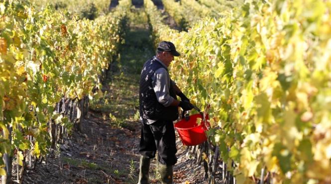 italia elimina de la 1 ianuarie restrictiile pe piata muncii impuse romanilor si bulgarilor presa