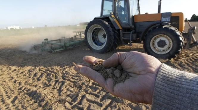 seceta face ravagii in botosani fantanile au secat iar culturile agricole sunt in stare critica