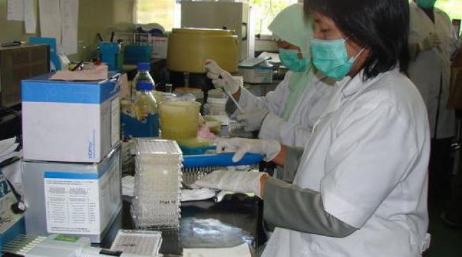 deces provocat de gripa aviara confirmat in indonezia oficialii se tem de revenirea epidemiei h5n1