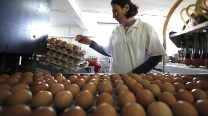 oua stresate marcate cu cifra 3 aduse din polonia si distribuite ilegal cu cifra 1 in supermaketurile din romania